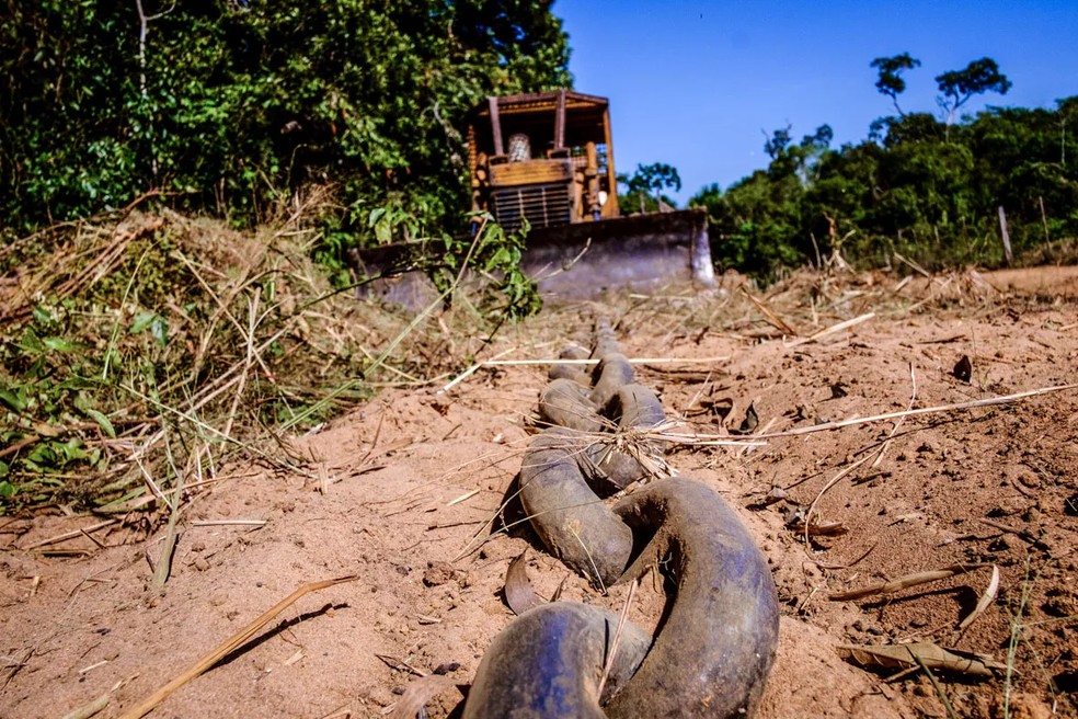 O "correntão" é usado para desmatar. — Foto: Mayke Toscano/Gabinete de Comunicação do Mato Grosso