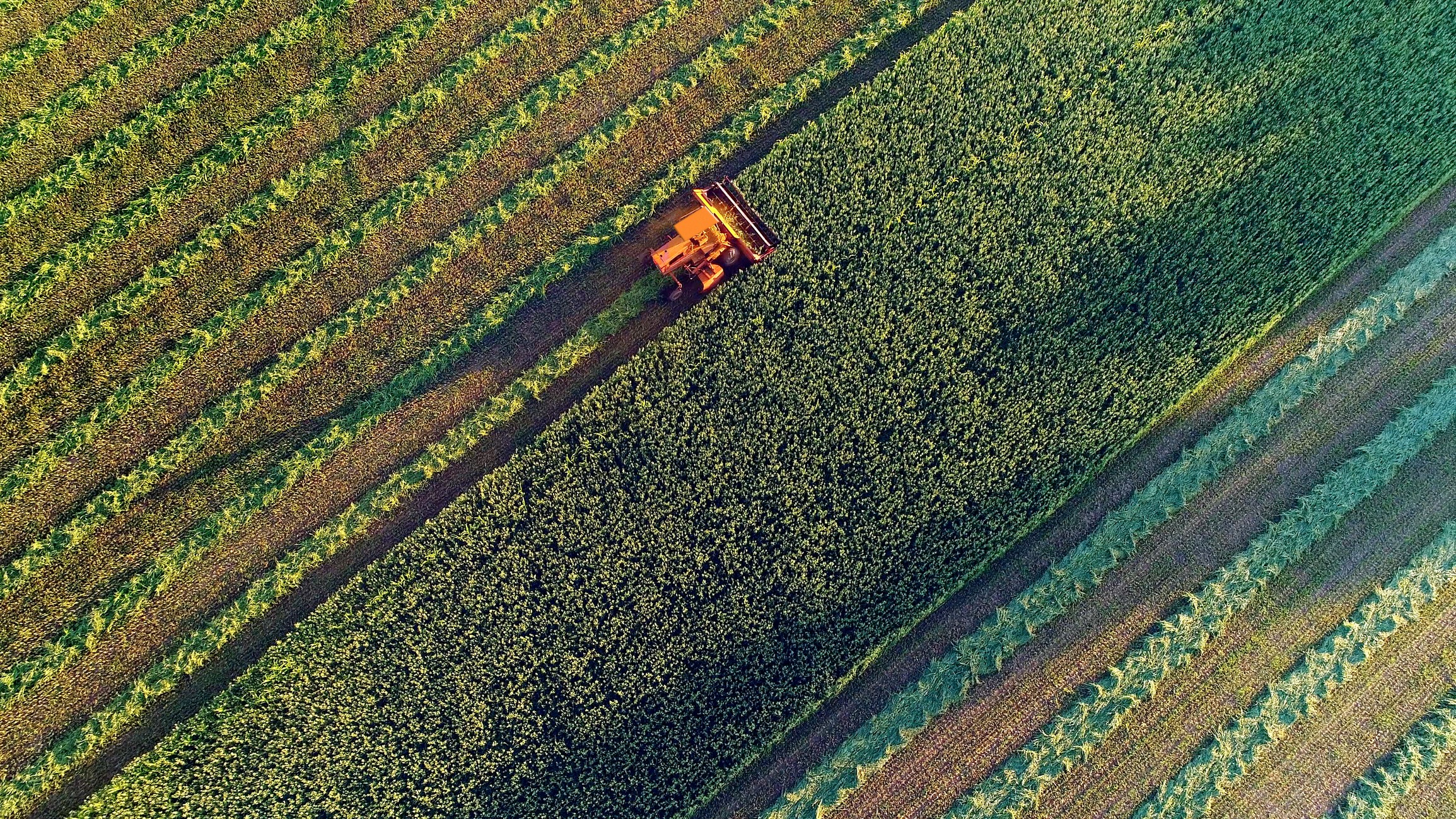 Capa fotográfica da fonte da Terra Adentro: Como aliar rastreabilidade no agro e inclusão na Amazônia? Novos estudos apontam caminhos práticos