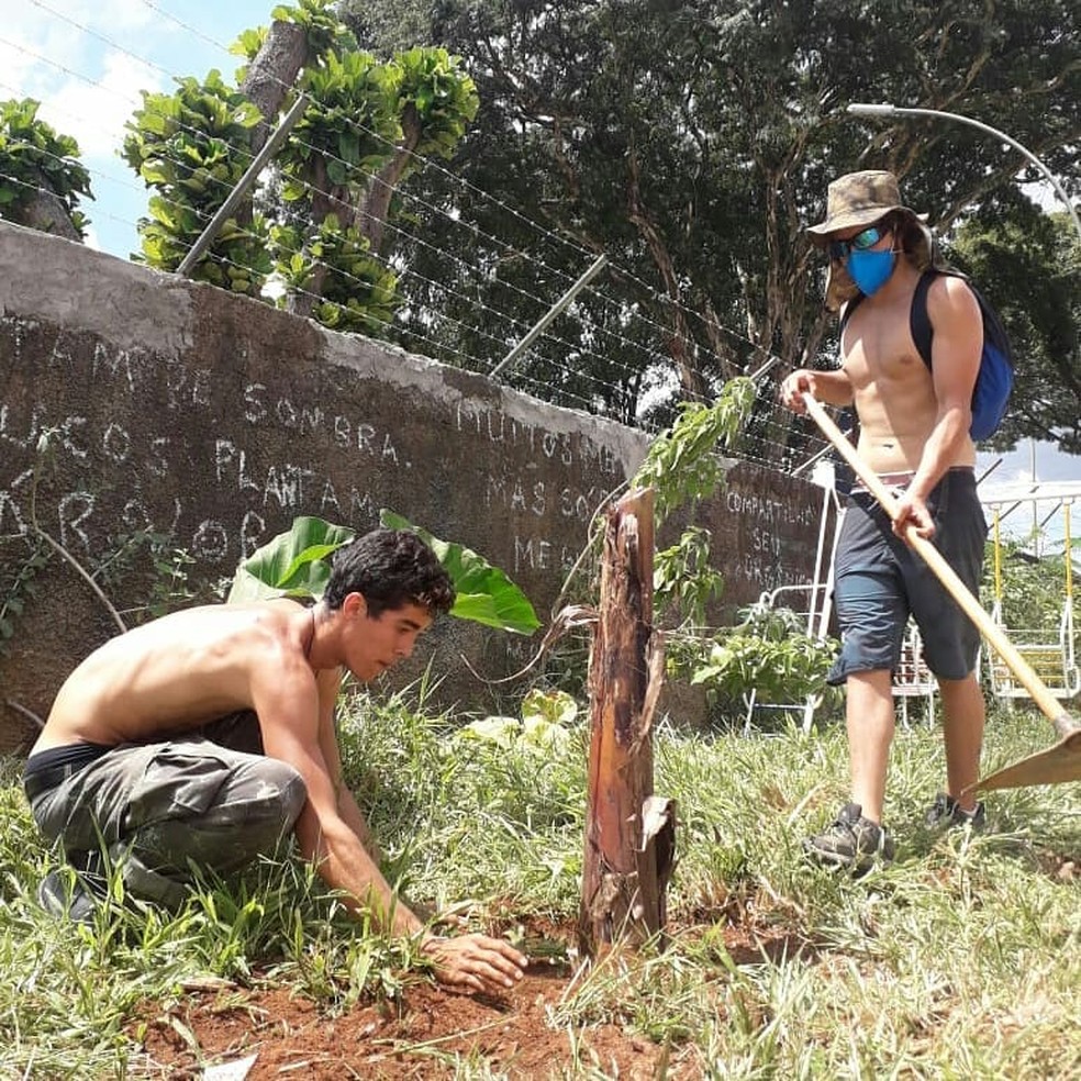 Projeto GuaráEco: trabalho promove o bem-estar ao preservar e regenerar o ambiente a partir de hortas agroecológicas. — Foto: guaraecologico/Instagram/Reprodução