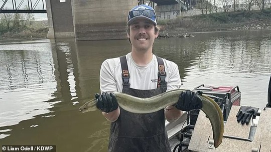 "Monstro de outro mundo" que pode chegar a 1,5 metro é encontrado em rio