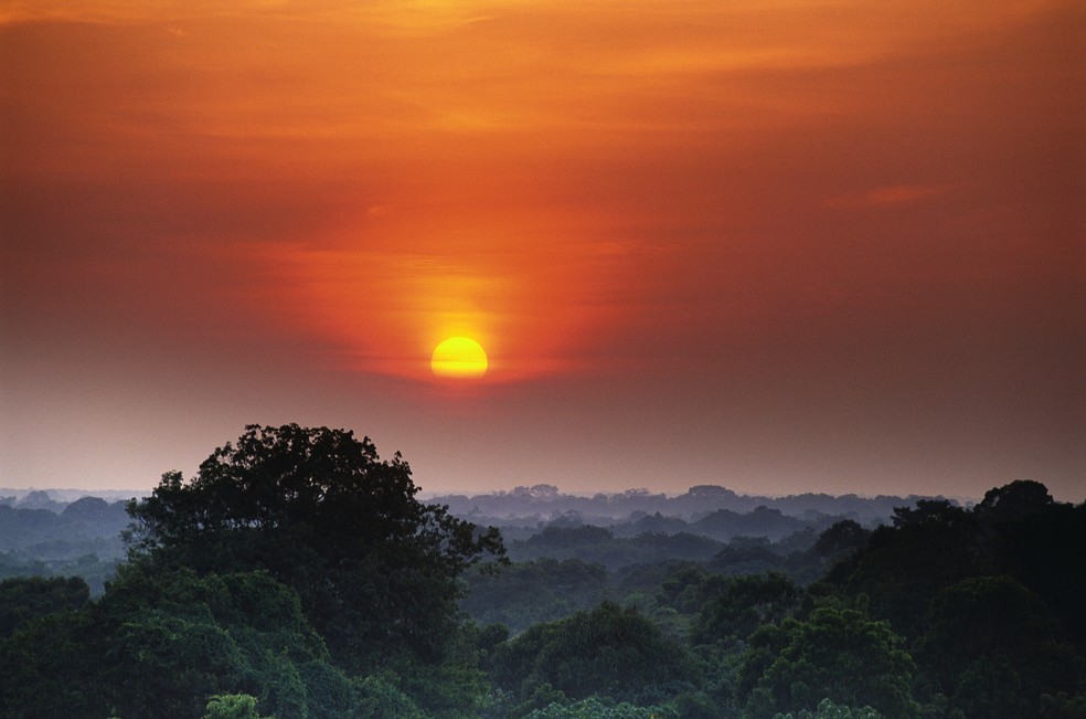 A grilagem é uma das principais responsáveis pelo desmatamento da Amazônia — Foto: Getty Images