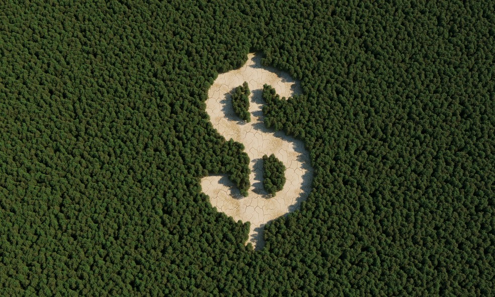 Acabar imediatamente com o desmatamento ilegal é apontado pelo Fórum Econômico Mundial como fundamental para o Brasil ter condições de atingir metas climáticas de 2030 — Foto: Getty Images