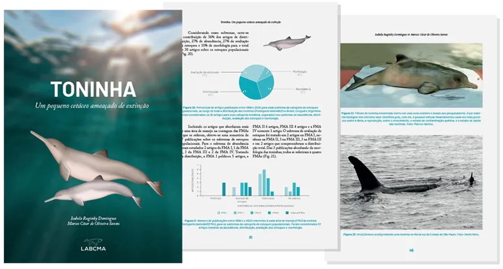 Páginas do e-book Toninha, um pequeno cetáceo ameaçado de extinção.  — Foto: IO USP