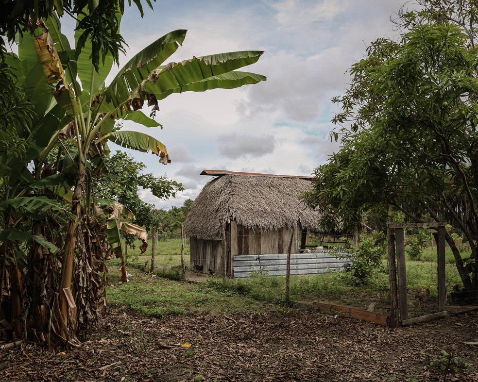 Project chicken coop — Photo: Amanda Magnani