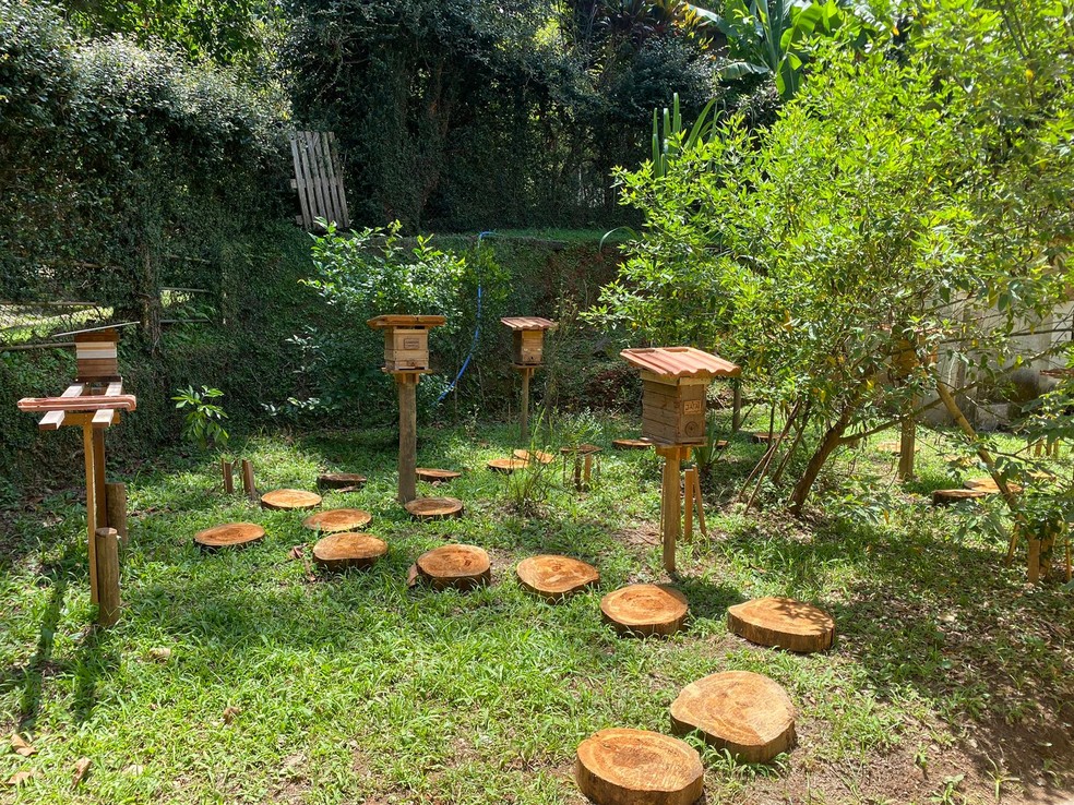 Atualmente, 61 famílias participantes do Programa Abelhas Nativas da Fundação Florestal já têm caixas de abelhas nativas — Foto: Fundação Florestal/ Divulgação