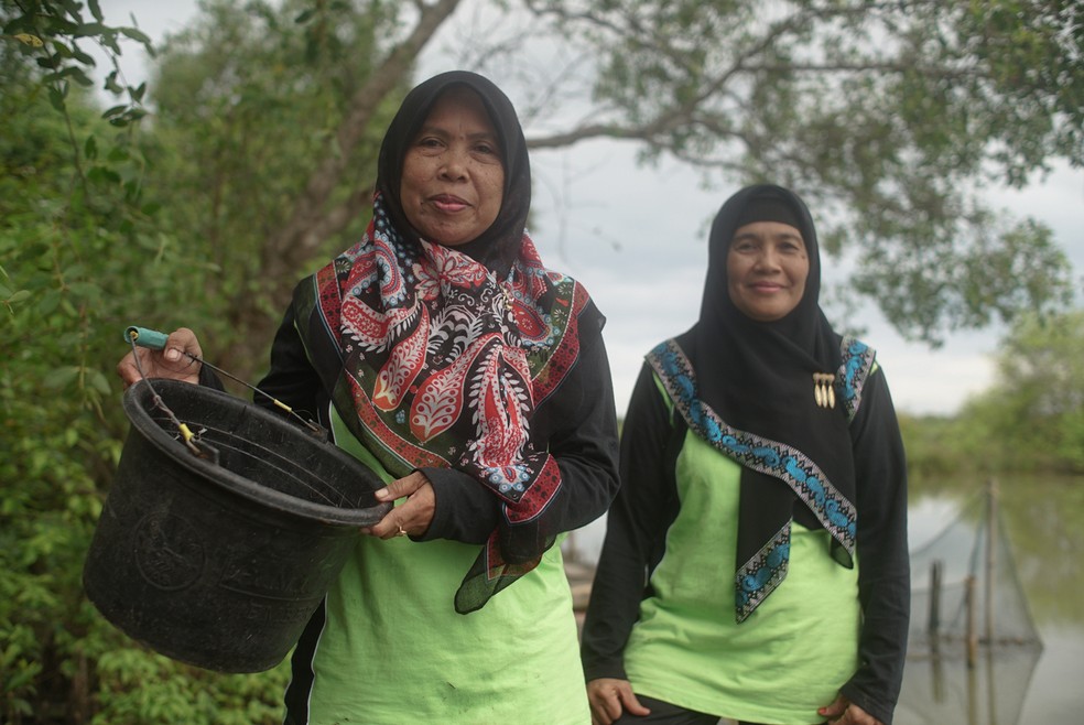 Projeto Construindo com a Natureza (Indonésia) — Foto: Nathanial Brown/UNEP