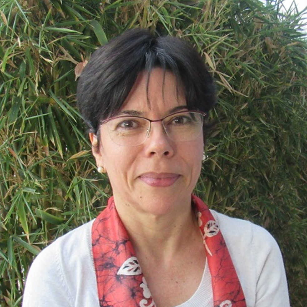 Mercedes Bustamante é professora da Universidade de Brasília (UnB) e integrante da Academia Brasileira de Ciências — Foto: Arquivo pessoal
