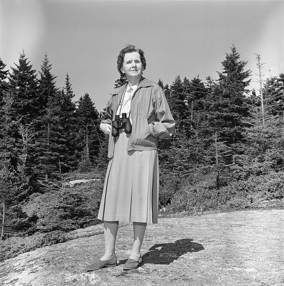 Rachel Carson, autora de Primavera Silenciosa, em sua casa de verão em Boothbay Harbor, Maine, nos EUA — Foto: Getty Images