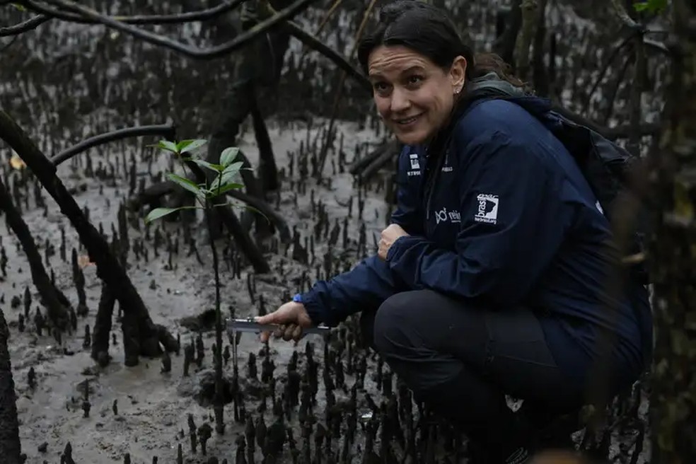 A pesquisadora Cassiana Metri, do Programa de Recuperação da Biodiversidade Marinha (Rebimar), faz monitoramento do manguezal na Baía de Paranaguá, área da Grande Reserva da Mata Atlântica. — Foto: Fernando Frazão/Agência Brasil