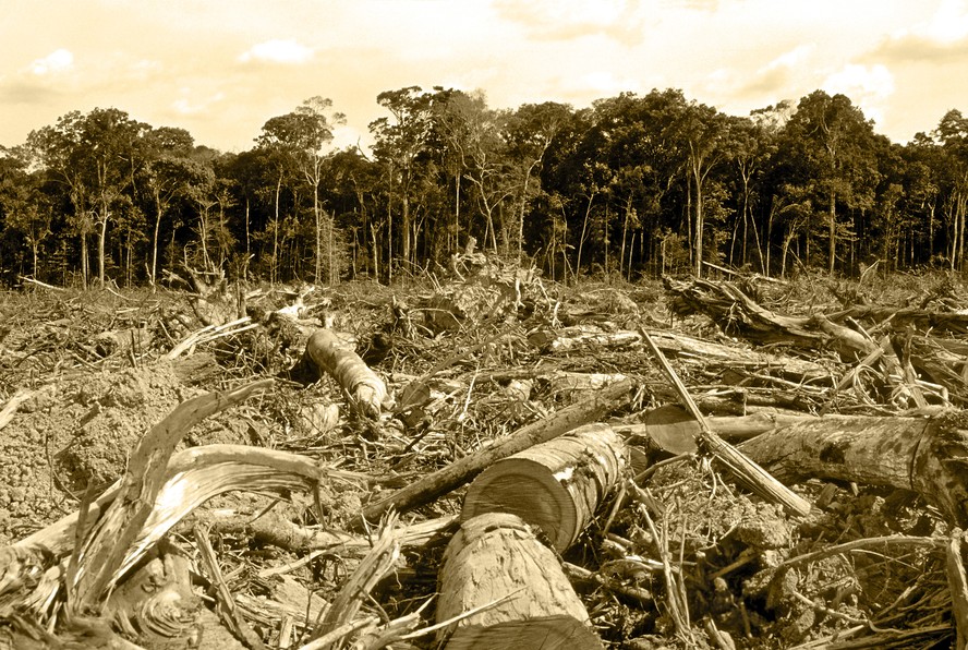 Imagem em tom sépia do desmatamento na Amazônia: divergência entre países da região ficou evidente na Cúpula de Belém.