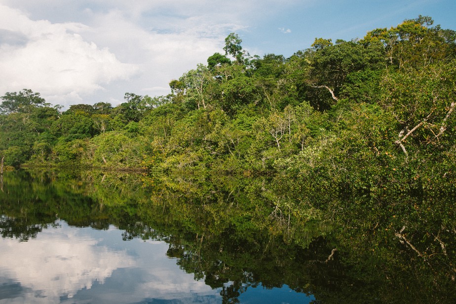 Amazônia é o bioma com maior variedade de produtos e valor econômico