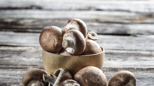 Fungo de Quintal: clube de assinatura de cogumelos chama atenção nas redes por nome inusitado
