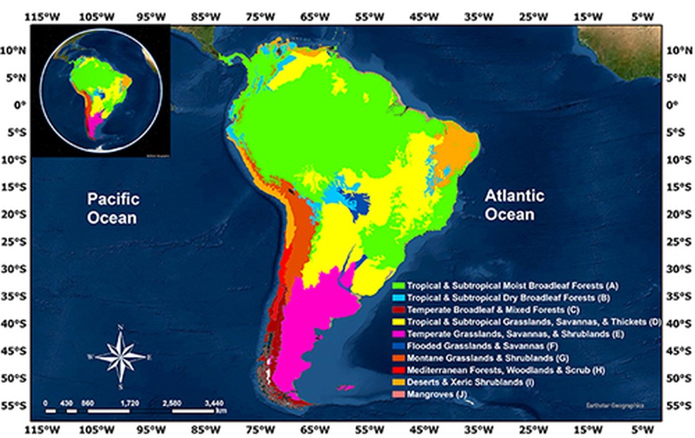 Figura mostra todos os 10 biomas estudados na América do Sul e foi obtida no World Wide Fund for Nature (WWF) — Foto: Reprodução