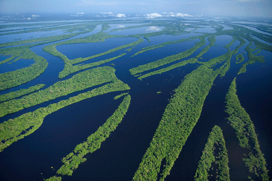 Rio na Amazônia: com aproximadamente 5 milhões de km², a Amazônia é a maior floresta tropical do mundo.