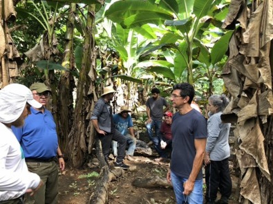 Sistema Agroflorestal (SAF) na Reserva Extrativista (Resex) Chico Mendes visitado em junho pelos grupos de trabalho Socioeconomia e Ambiental do projeto
