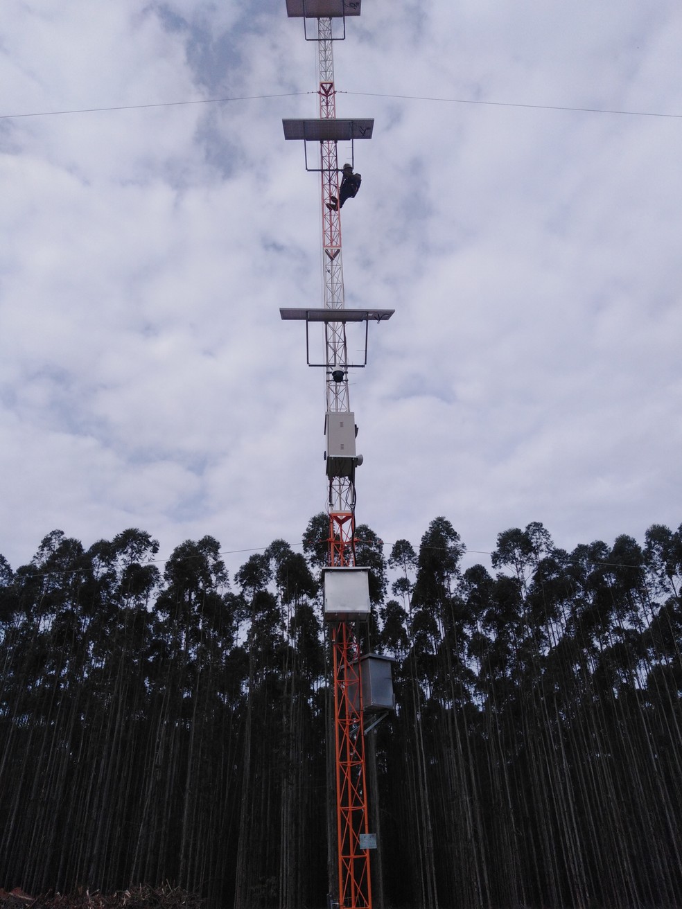 A empresa estuda a área e instala torres com câmeras de monitoramento que alcançam 15km de distância em raio (aproximadamente 70 mil hectares) — Foto: Divulgação