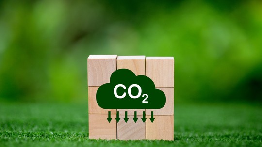 Valor de mercado das compensações de carbono cai 61%, aponta relatório