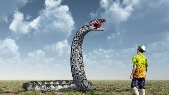 Terra já teve cobras de 15 m de comprimento e 40 cm de largura, dizem cientistas