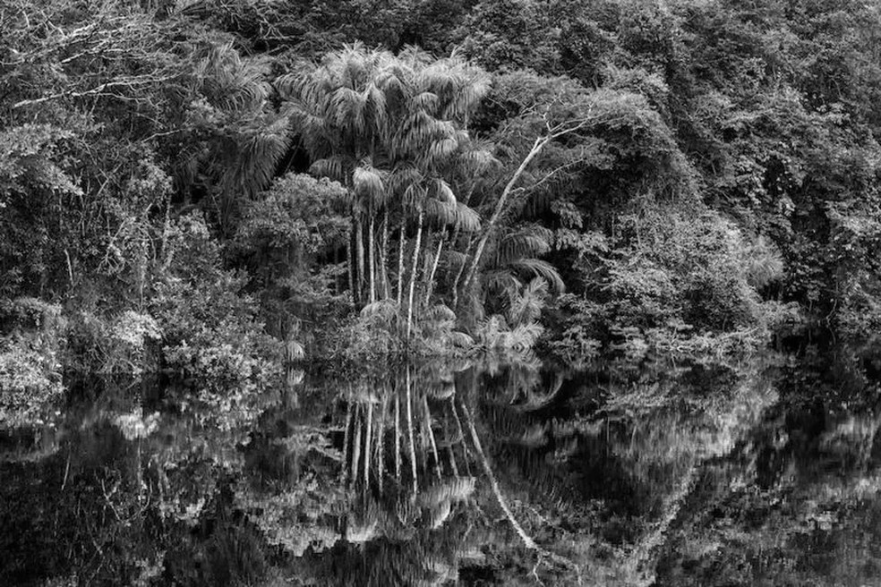 Rio Jaú em imagem da exposição 'Amazônia' na Filarmônica de Paris. — Foto: Sebastião Salgado