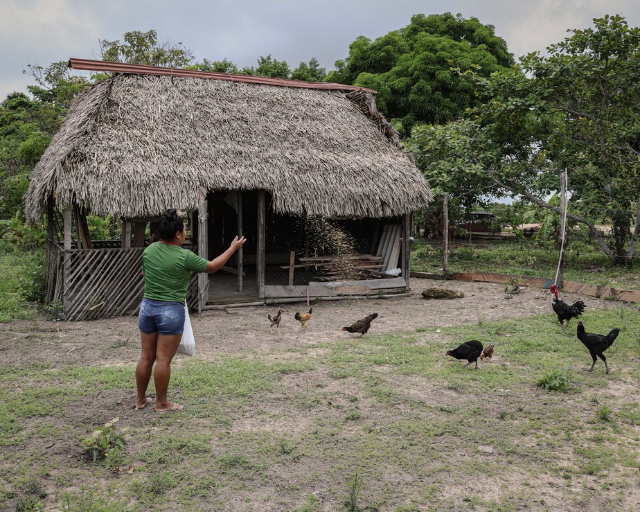 Duziane alimentando as galinhas