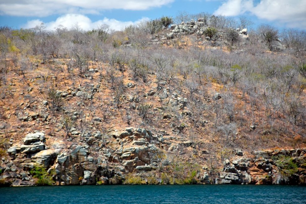 C�nion do Xing�, paisagem t�pica da Caatinga � beira do rio S�o Francisco, no estado de Sergipe. � Foto: Andre Seale/VW PICS/Universal Images Group via Getty Images