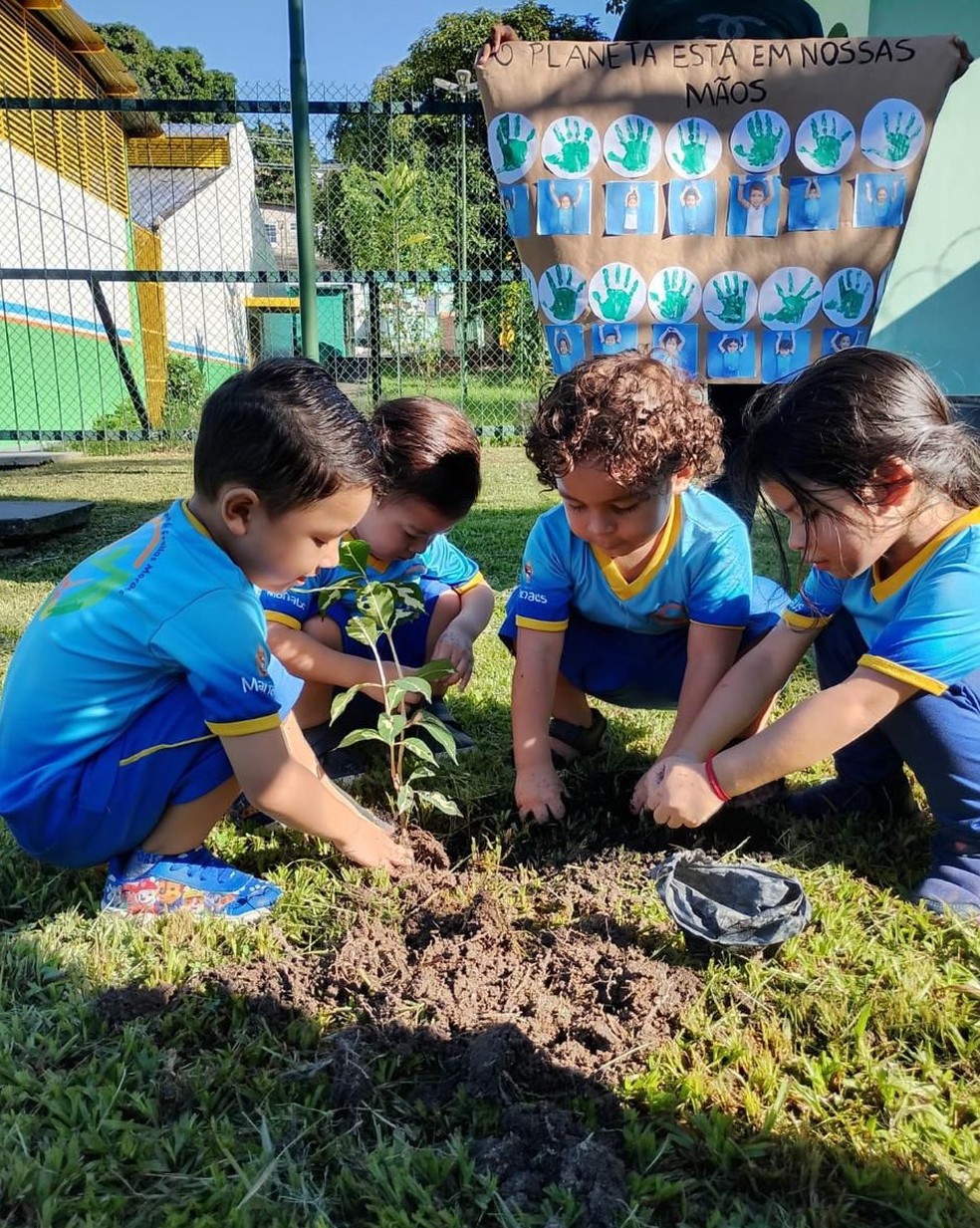 Crianças da creche em atividade de plantio. — Foto: Divulgação