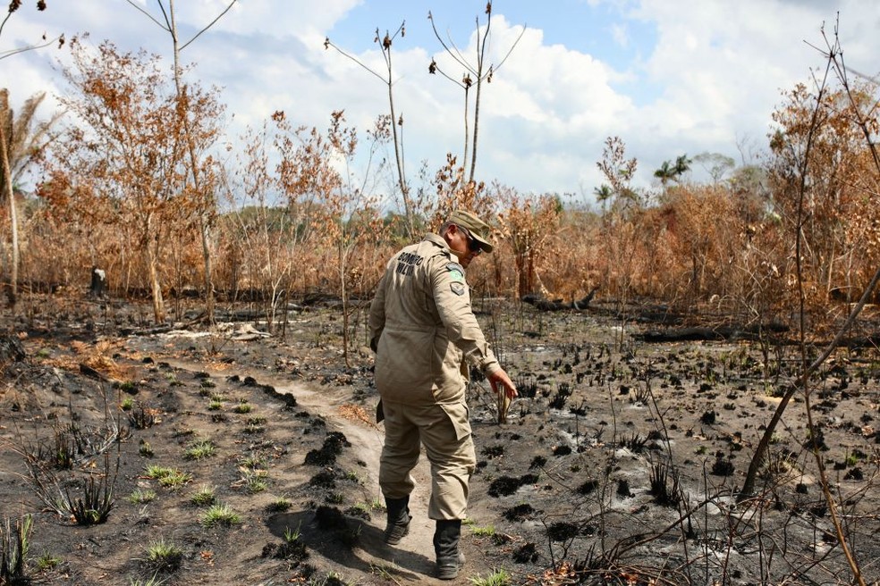 Amazônia: bombeiro militar inspeciona área queimada  — Foto: Apolline Guillerot-Malick/SOPA Images/LightRocket via Getty Images