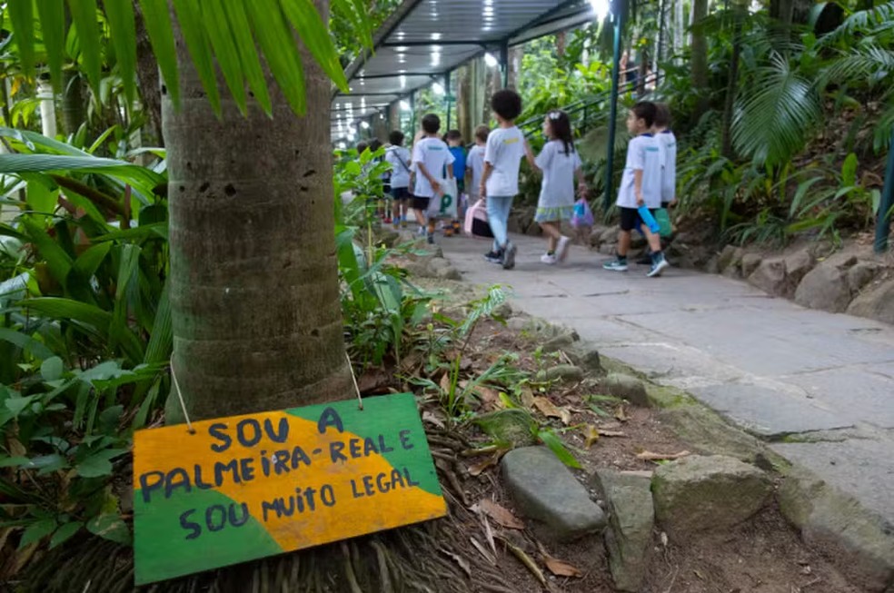 Na Escola Parque, placas identificam espécies de árvores. — Foto: Domingos Peixoto