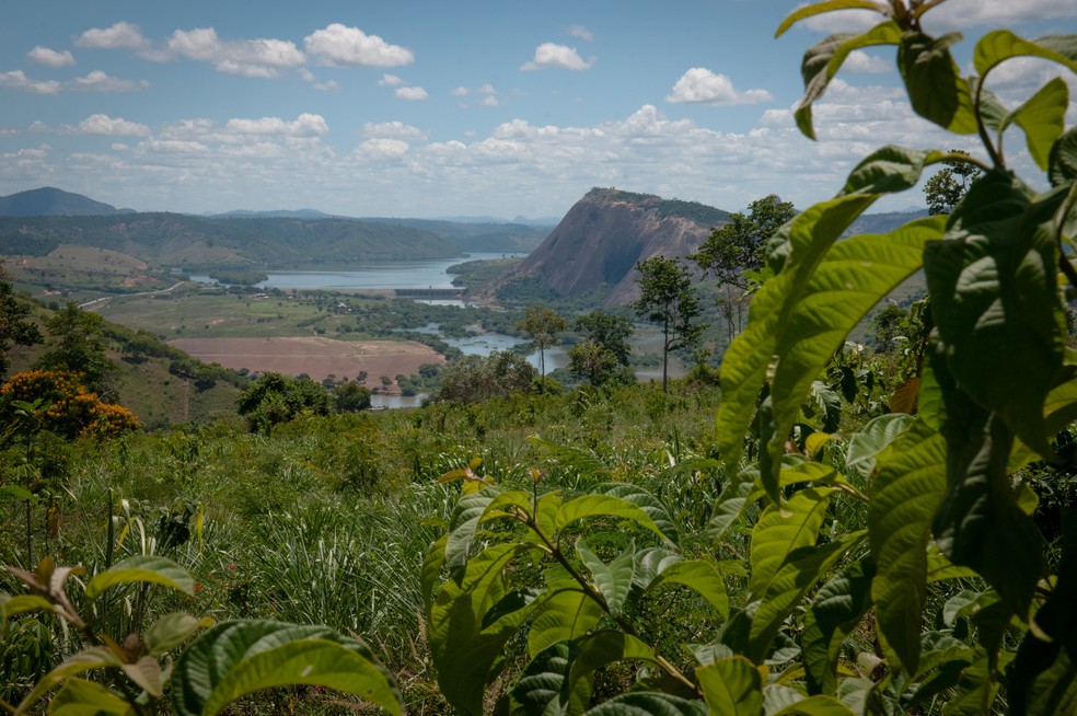 Instituto Terra: projeto de reflorestamento no Brasil, que Sebastião criou com sua esposa em 1998. — Foto: Gabriel Reis/ Valor e Um Só Planeta