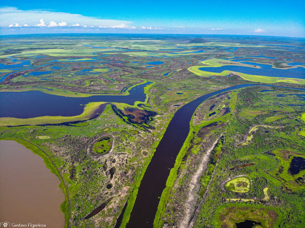 Por que falar sobre o Pantanal pode salvá-lo?