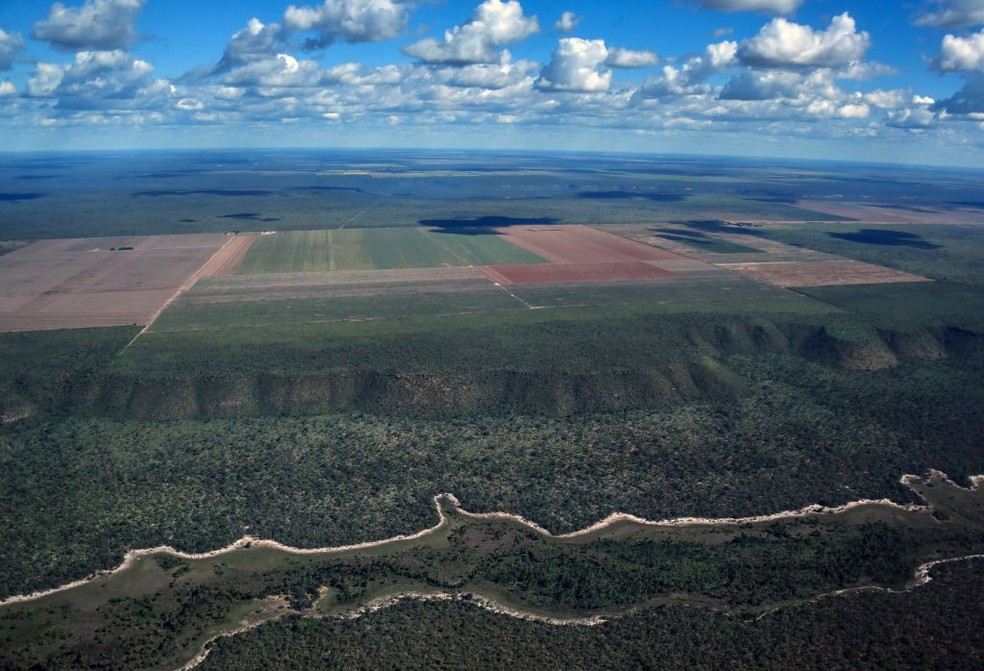 Vista aérea de vegetação nativa do Cerrado nativo ao redor de um campo agrícola em Formosa do Rio Preto, na Bahia — Foto: Getty Images