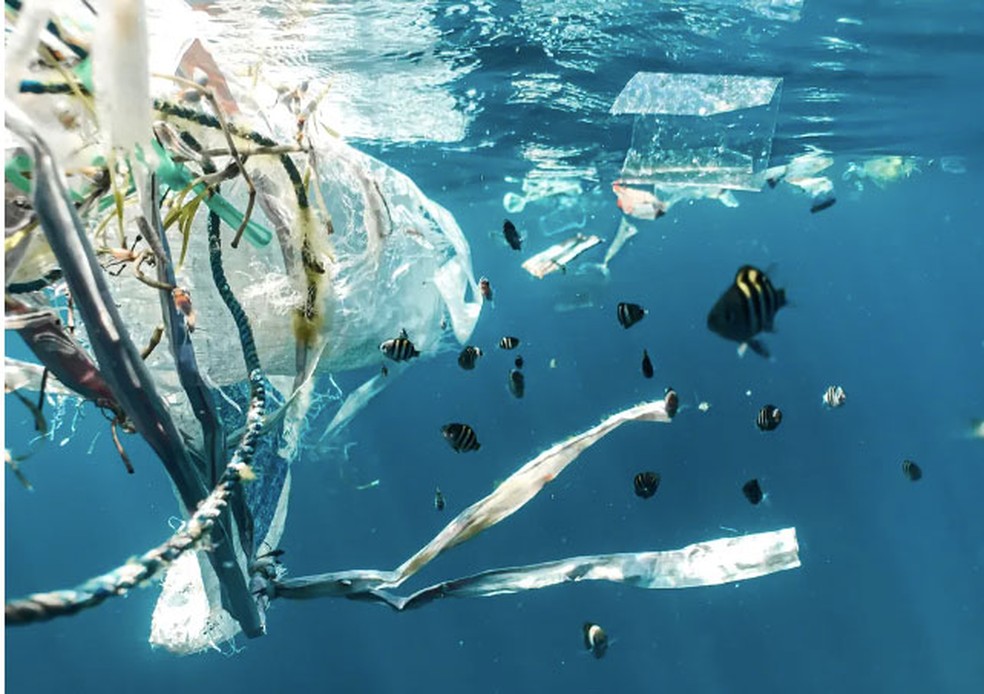 Nokia fornece conexão privada sem fio e equipamento para auxiliar no trabalho da Ocean Cleanup de retirar plásticos do oceano. — Foto: Divulgação/Unsplash (Naja Bertolt Jensen)