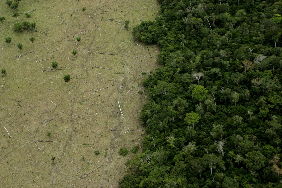 Desmatamento na Amazônia — Foto: Getty Images