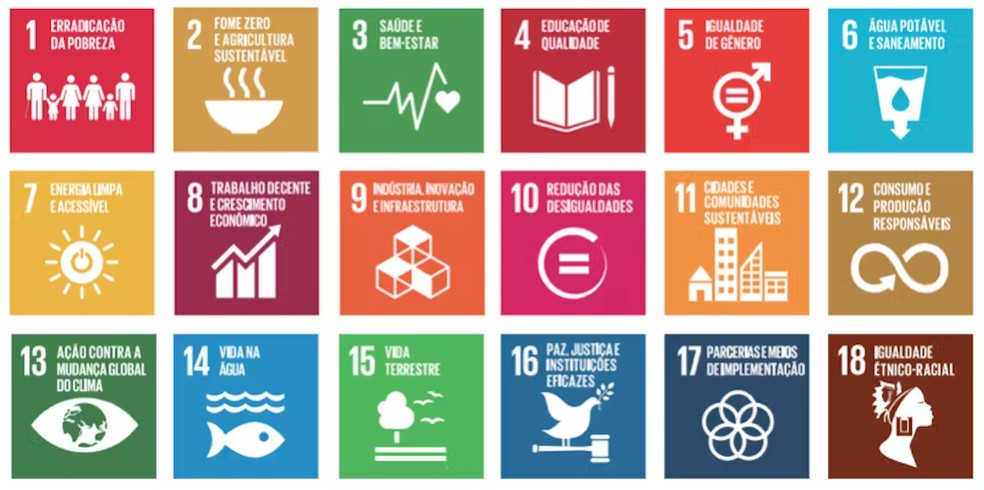 Nova iconografia da Agenda 2030 com o ODS 18. â Foto: Imagem disponibilizada pelos autores