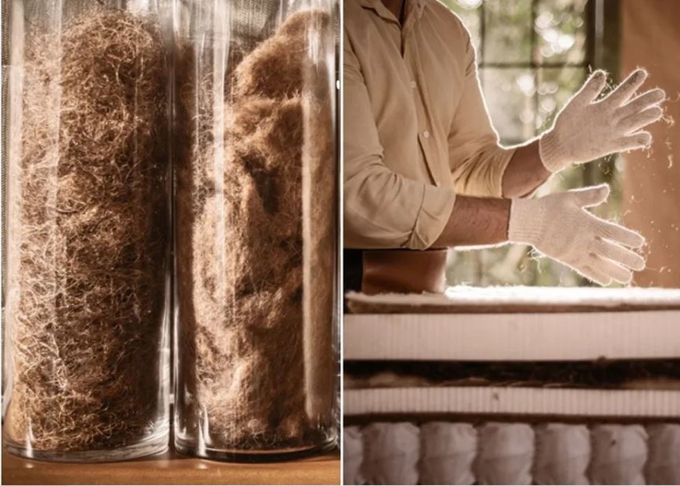 Nos colchões naturais, a espuma de poliuretano é substituida por fibras animais, vegetais e/ou látex — Foto: Stallion Colchões / Divulgação