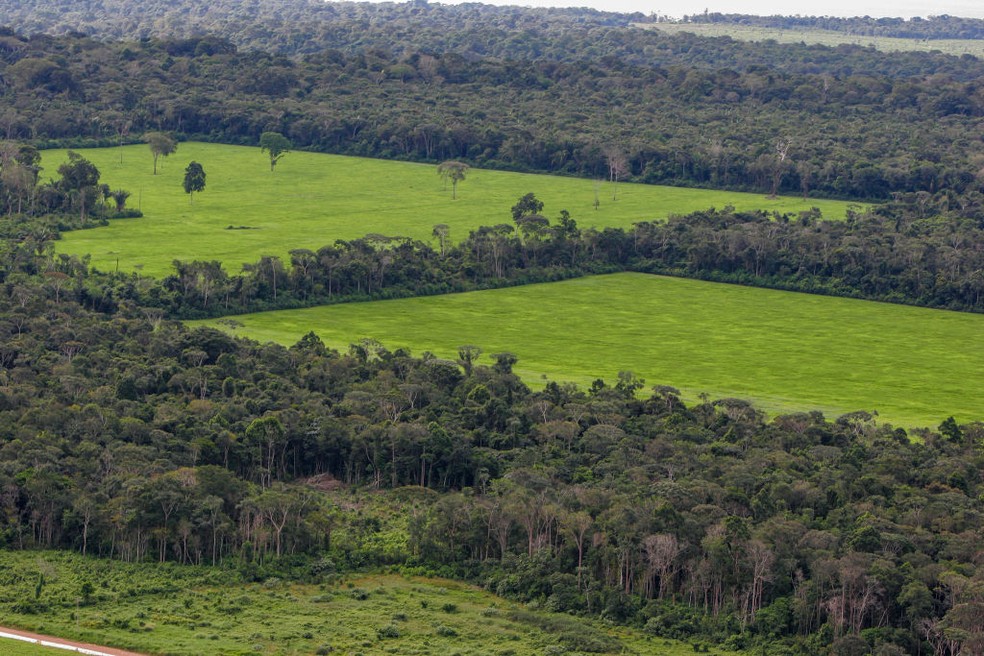 Fragmentos de floresta amazônica entre áreas desmatadas, ocupadas com plantações de soja no Pará. — Foto: Ricardo Beliel/Brasil Photos/LightRocket via Getty Images