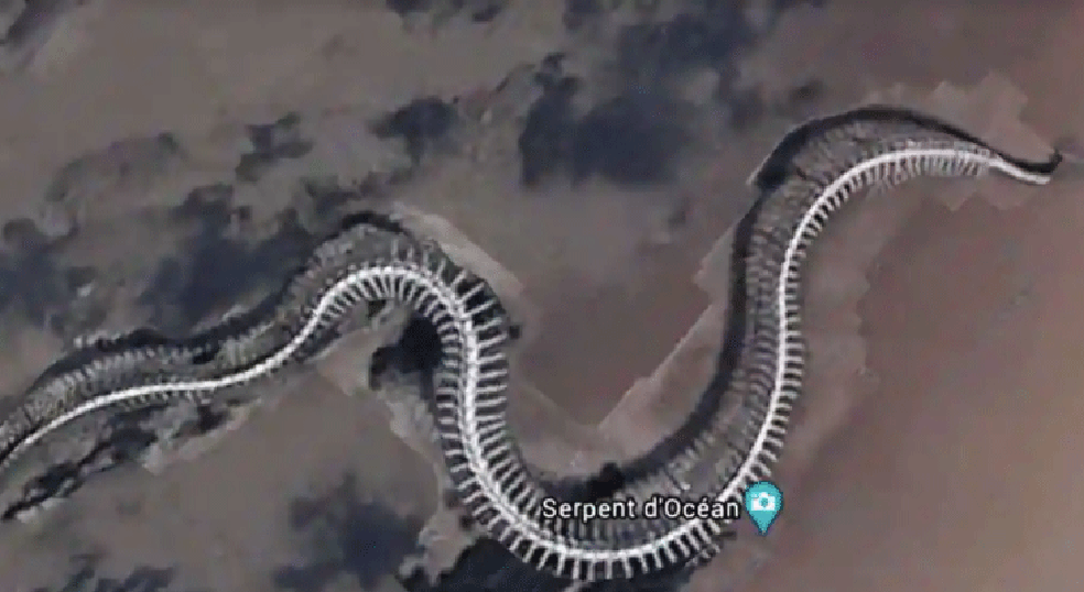 Titanoboa: a cobra de uma tonelada que viveu na América Latina e foi a  maior serpente do mundo