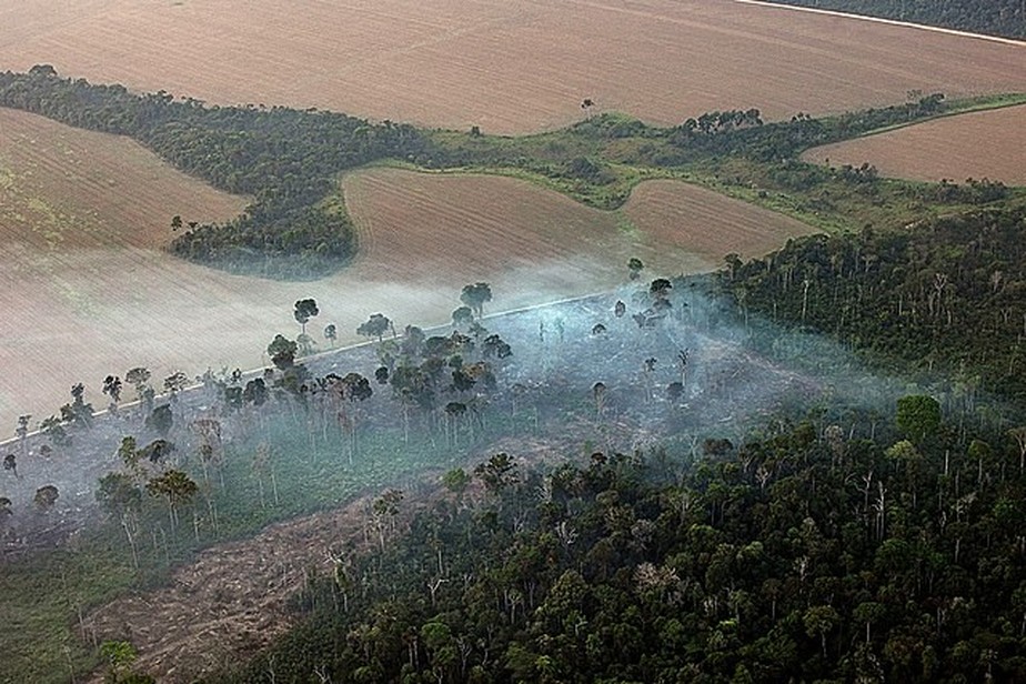 UnB Ciência - Degradação florestal supera desmatamento na Amazônia