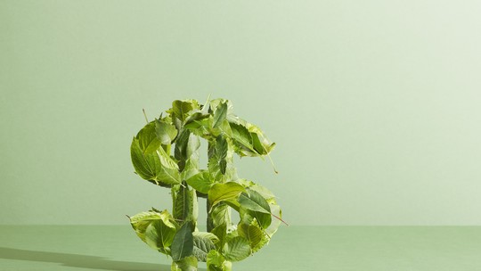 Brasil é o 4º maior provedor de financiamento climático entre economias emergentes