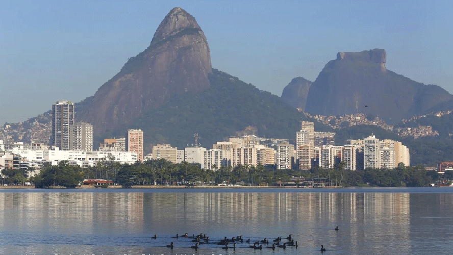 Biguás desfrutam da Lagoa Rodrigo de Freitas.