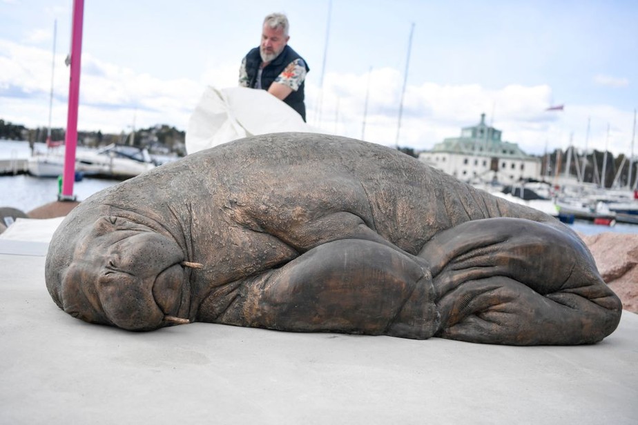 Noruega arrecada US$ 20.000 para erguer estátua da morsa Freya - ISTOÉ  Independente