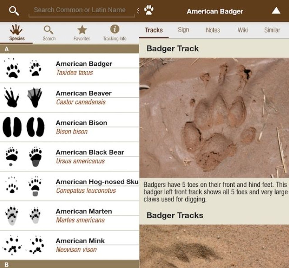 iTrack Wildlife Lite é um aplicativo para reconhecimento de animais  — Foto: Divulgação