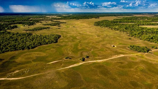 Pantanal: três anos seguidos de seca profunda