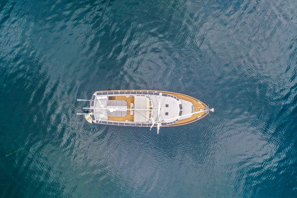 As pesquisas na embarcação Cachalote identificaram que cada baleia captura 33 toneladas de carbono, o que representa US$ 4 milhões em valor para o ecossistema do planeta — Foto: Divulgação