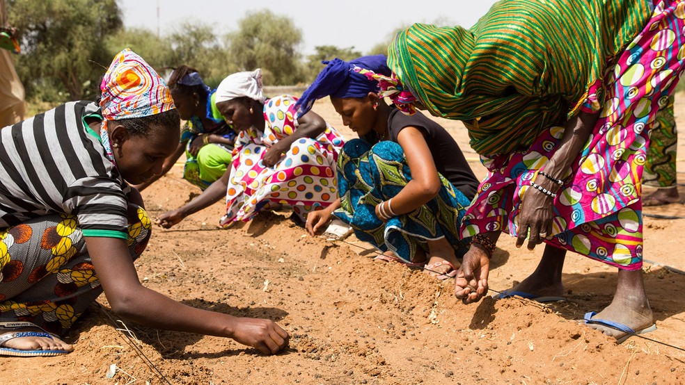 Em movimento amplo, africanos combatem a degradação da terra, a desertificação e a seca — Foto: Great Green Wall / Divulgação
