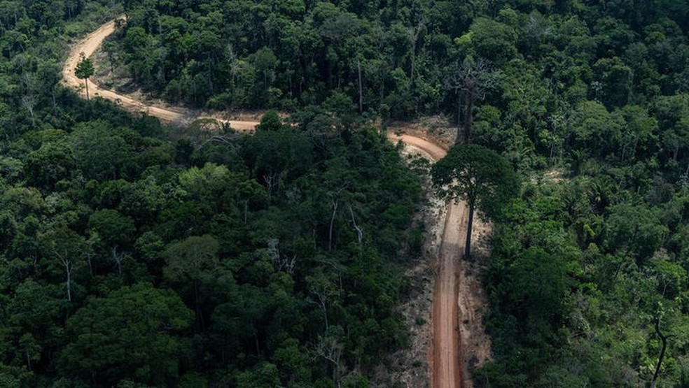 Estrada aberta em meio à Floresta Amazônica em Trairão, Pará.  — Foto: Victor Moriyama/Greenpeace