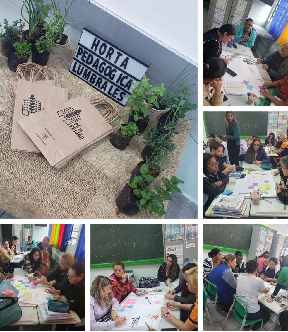 Atividade com os docentes da escola sobre a manutenção das hortas. — Foto: Adriane Este/Acervo Pessoal
