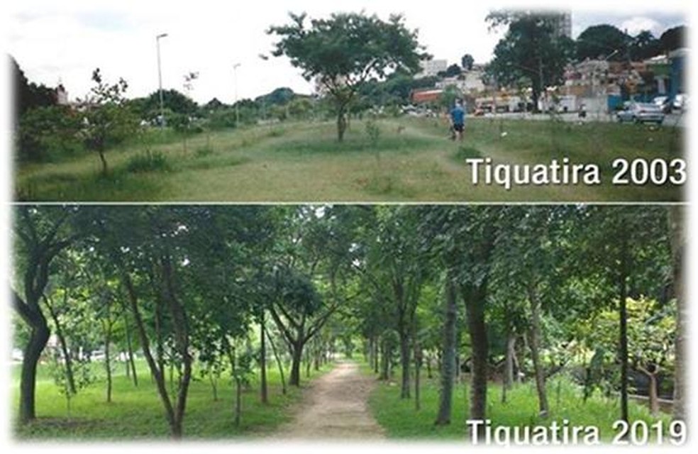 As margens do córrego Tiquatira, na zona Leste de São Paulo, em 2003 e em 2019 — Foto: Arquivo pessoal