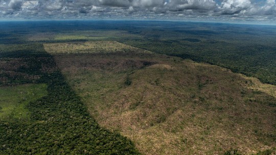 Bancos centrais do mundo financiam indiretamente a destruição da Amazônia, aponta relatório