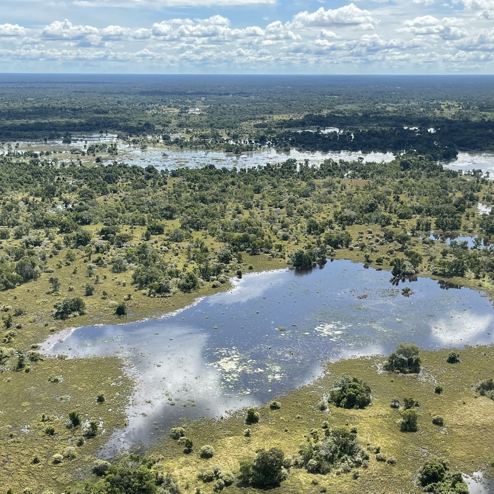 Terra Indígena Perigara, localizada no Pantanal de Mato Grosso. — Foto: Mario Haberfeld